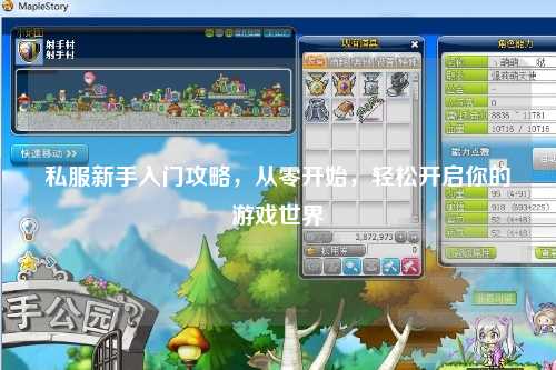 私服新手入门攻略,从零开始,轻松开启你的游戏世界